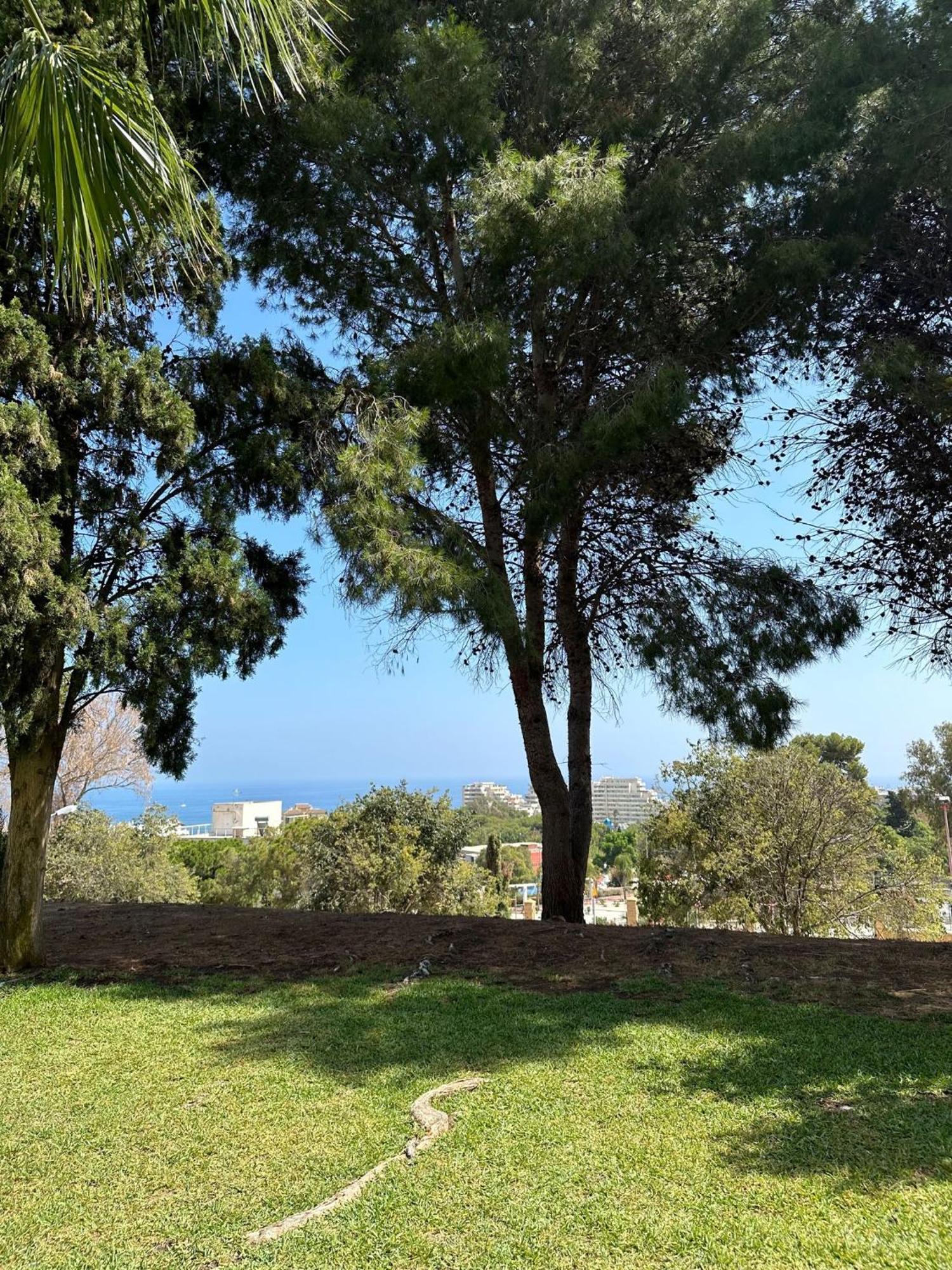 Apartment Benalmadena Gamonal Malaga