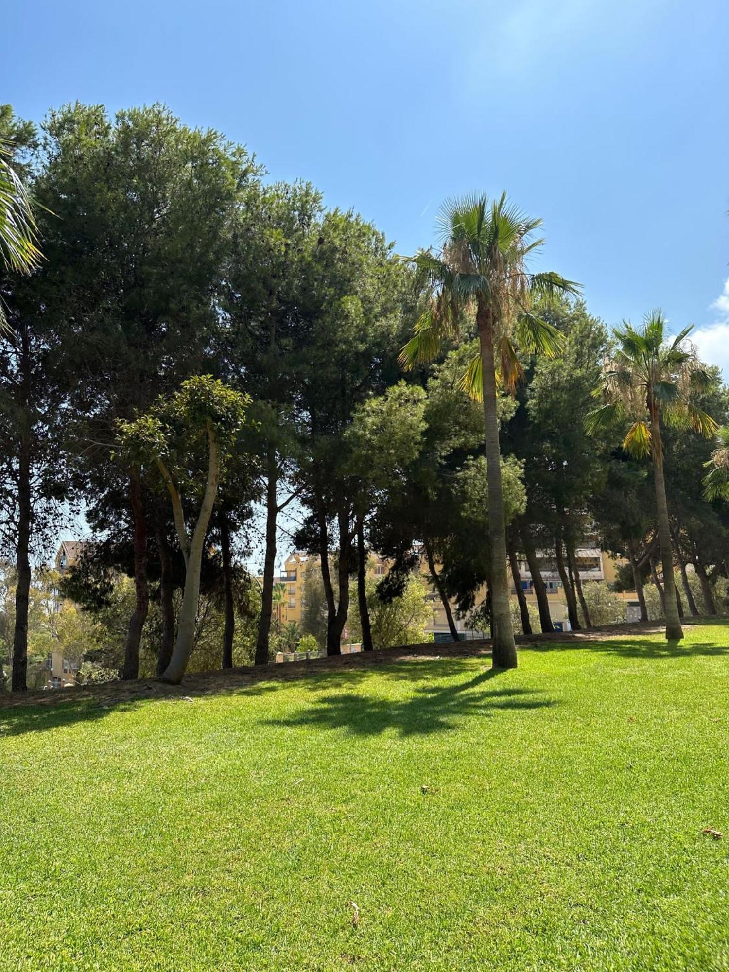 Apartment Benalmadena Gamonal